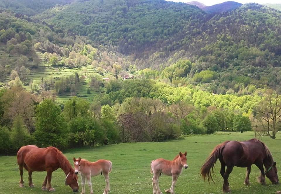 Mas Regort Otel Vallfogona De Riucorb Dış mekan fotoğraf