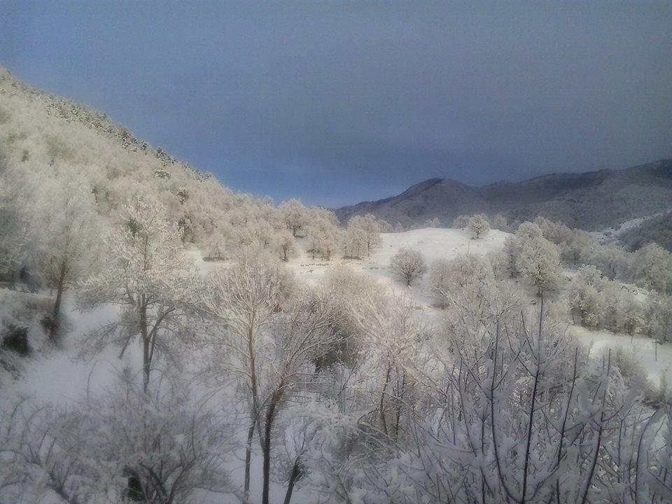 Mas Regort Otel Vallfogona De Riucorb Dış mekan fotoğraf
